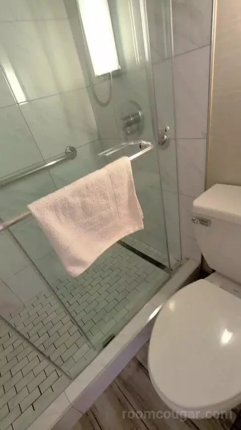 Deluxe King bathroom picture #7