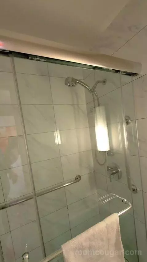 Deluxe King bathroom picture #10