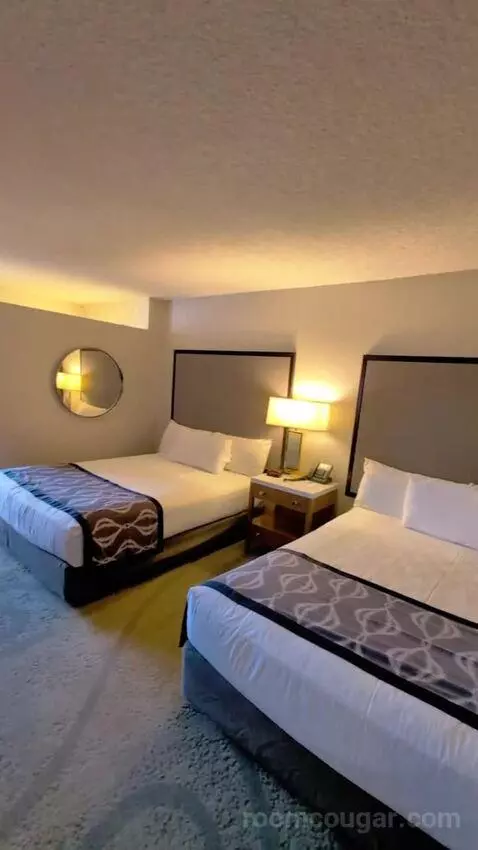 Deluxe King bed picture #3