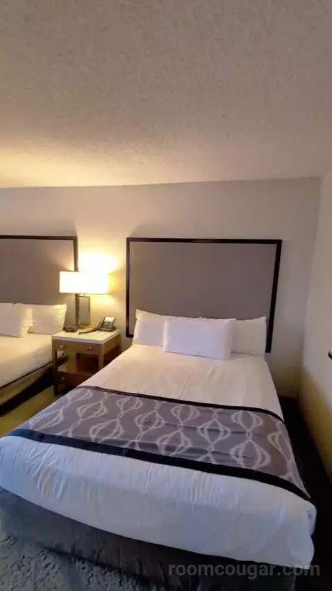 Deluxe King bed picture #5