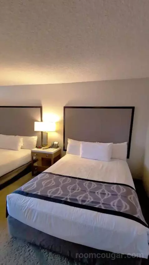 Deluxe King bed picture #6