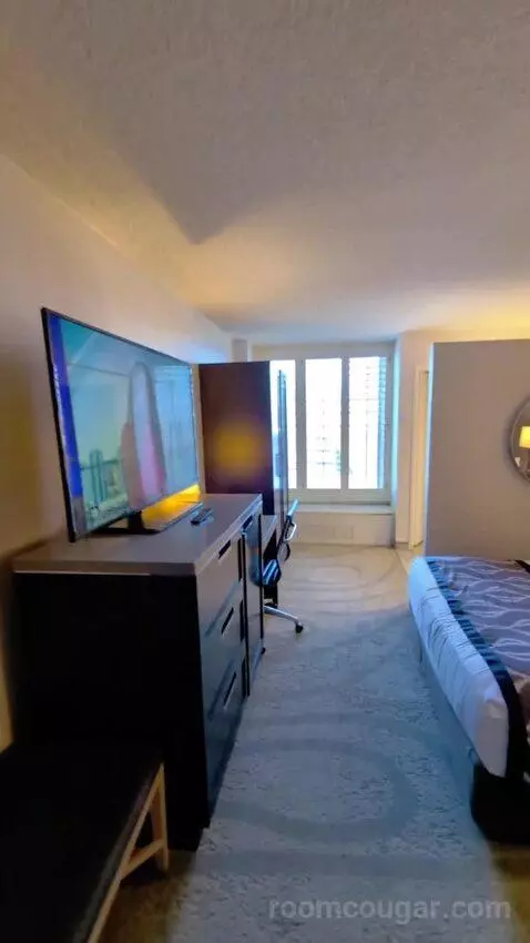 Deluxe King bed picture #7