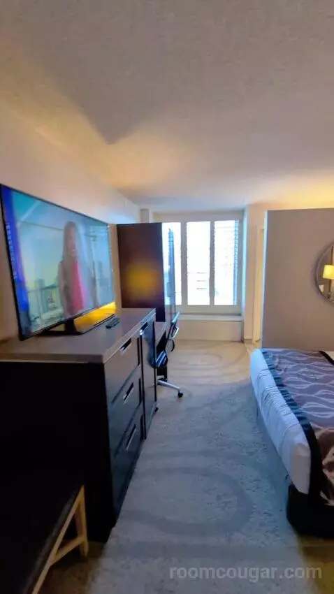 Deluxe King bed picture #8