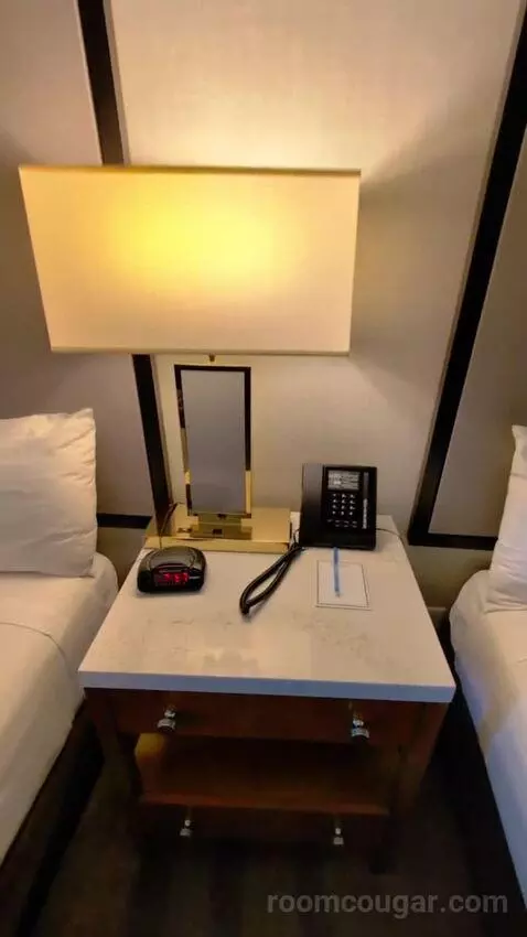 Deluxe King bed picture #9
