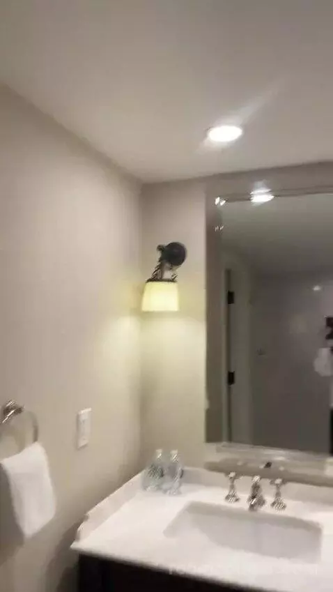 Salon Suite with Two Queen Beds (#3130) picture #15