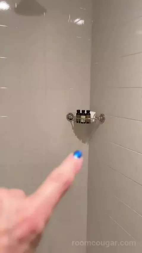 Salon Suite with Two Queen Beds (#3130) picture #19