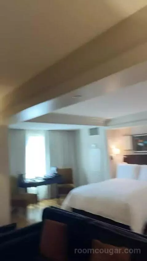 Salon Suite with Two Queen Beds (#3130) picture #22