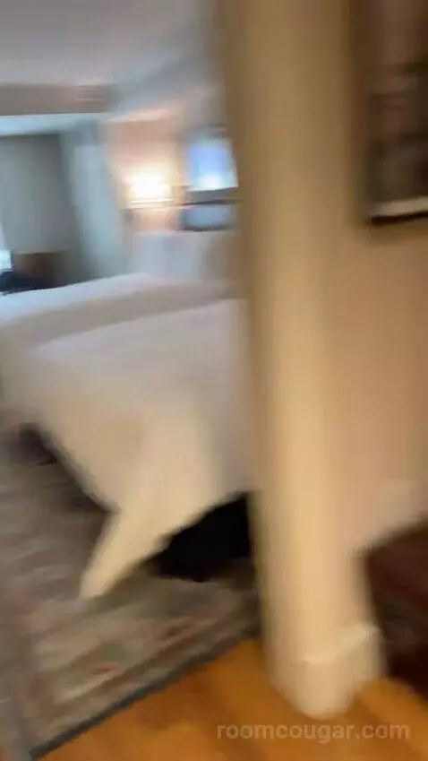 Salon Suite with Two Queen Beds (#3130) picture #4