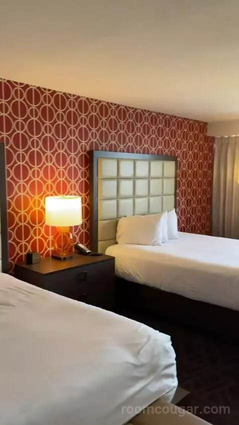 Resort Room, 1 King (#1950) picture #8