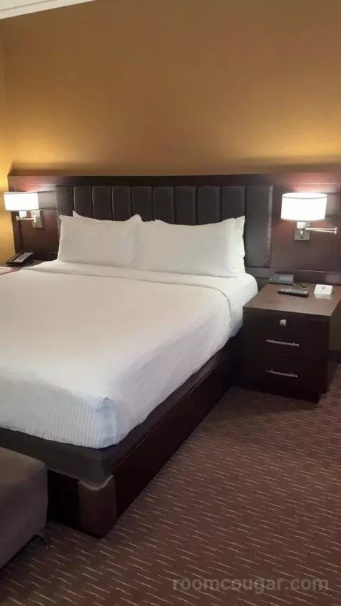 Rush Tower Corner Suite bed picture #12