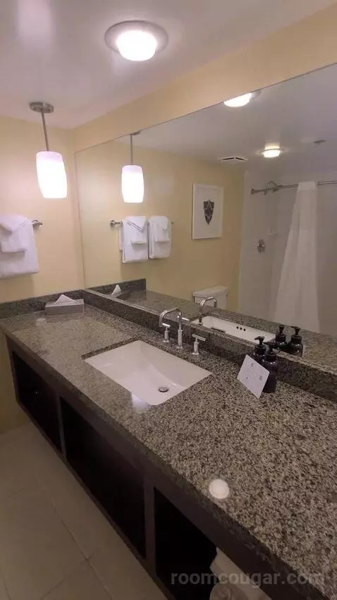 Resort Tower King (#22231) bathroom picture #1