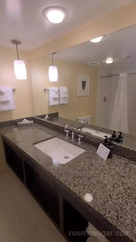 Resort Tower King (#22231) bathroom picture #2