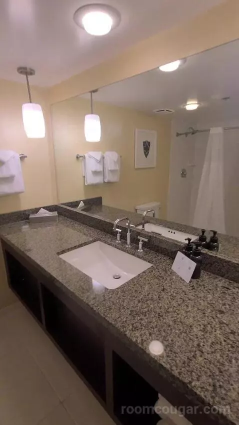 Resort Tower King (#22231) bathroom picture #3