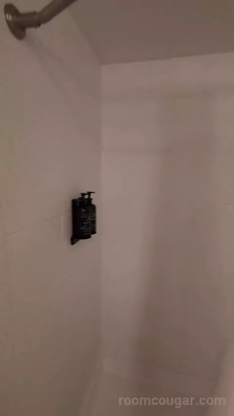 Resort Tower King (#22231) bathroom picture #8