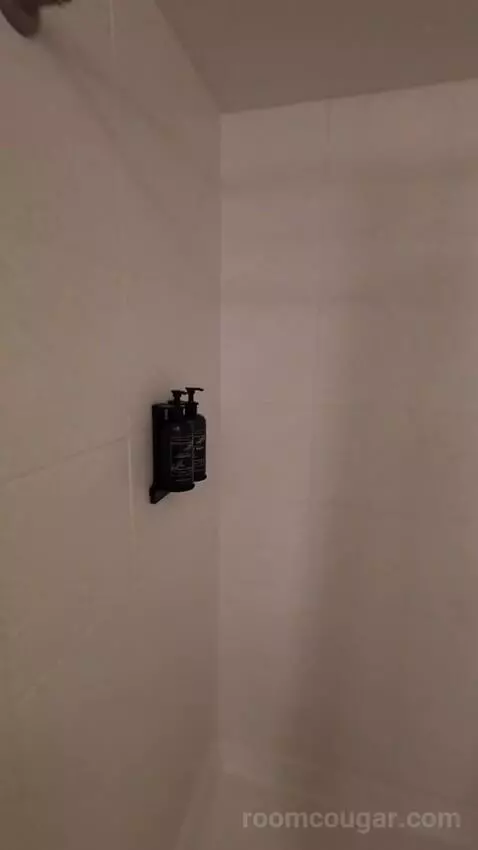 Resort Tower King (#22231) bathroom picture #9