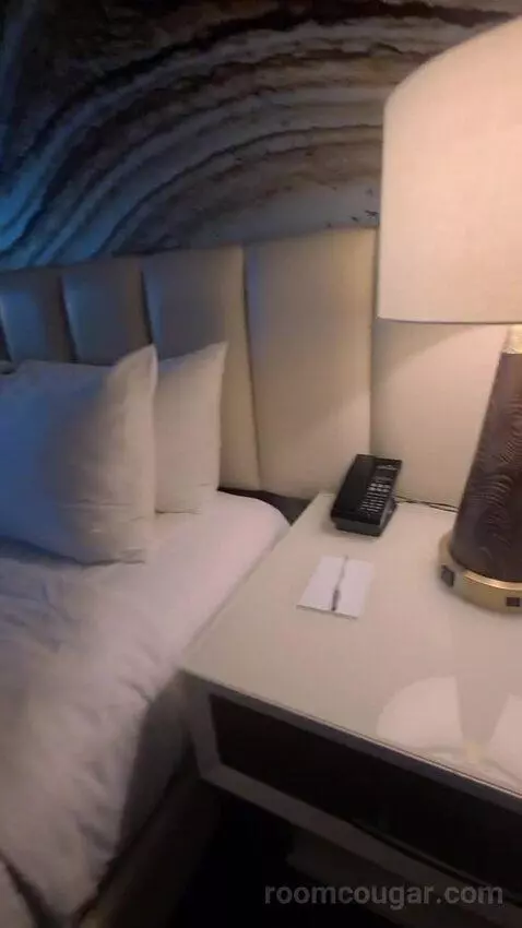 Elite King Suite (#18134) bed picture #3