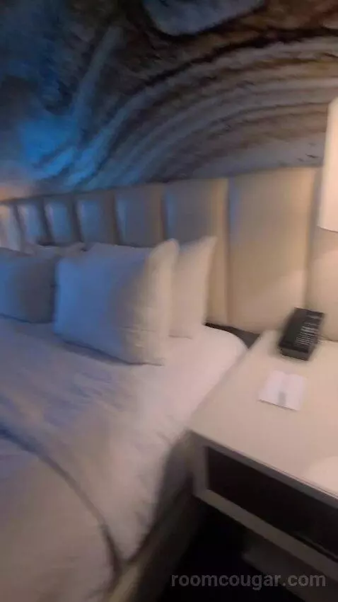 Elite King Suite (#18134) bed picture #4