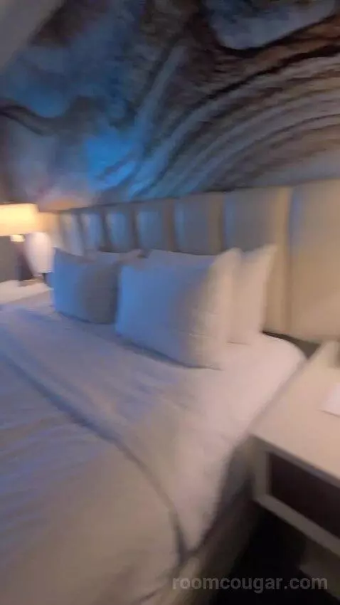 Elite King Suite (#18134) bed picture #5