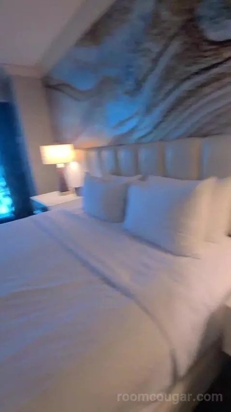 Elite King Suite (#18134) bed picture #6