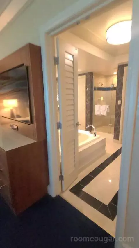 Elite King Suite (#18134) bathroom picture #3