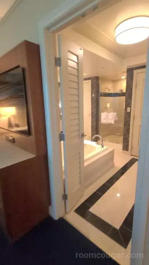 Elite King Suite (#18134) bathroom picture #4