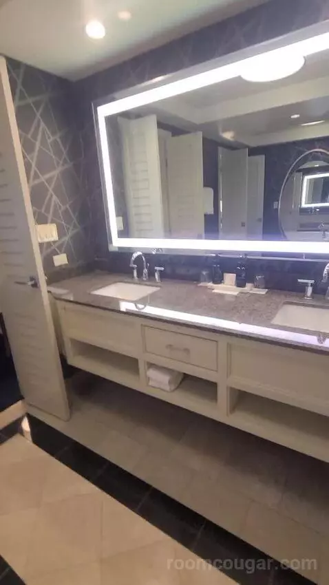 Elite King Suite (#18134) bathroom picture #7