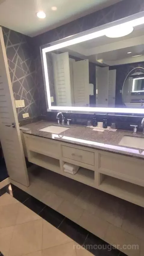 Elite King Suite (#18134) bathroom picture #8
