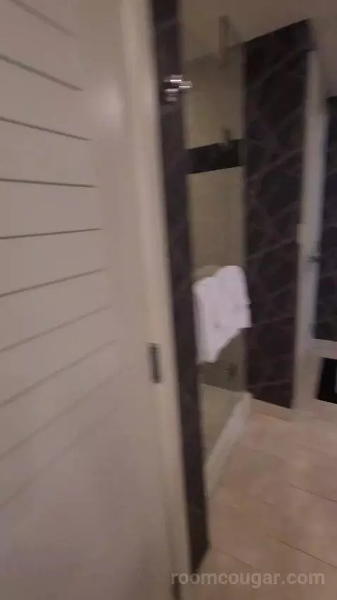 Elite King Suite (#18134) bathroom picture #10
