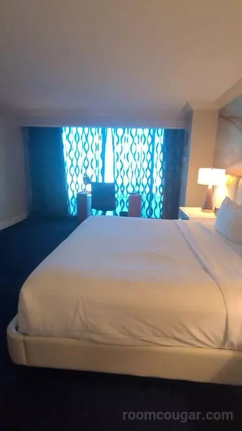 Elite King Suite (#18134) bed picture #7
