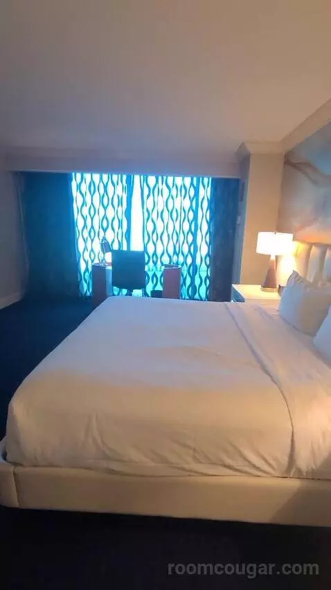 Elite King Suite (#18134) bed picture #12