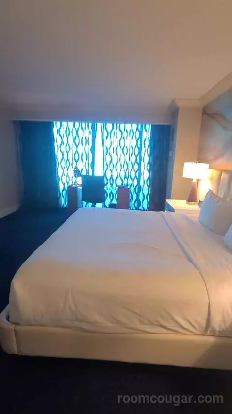 Elite King Suite (#18134) picture #23