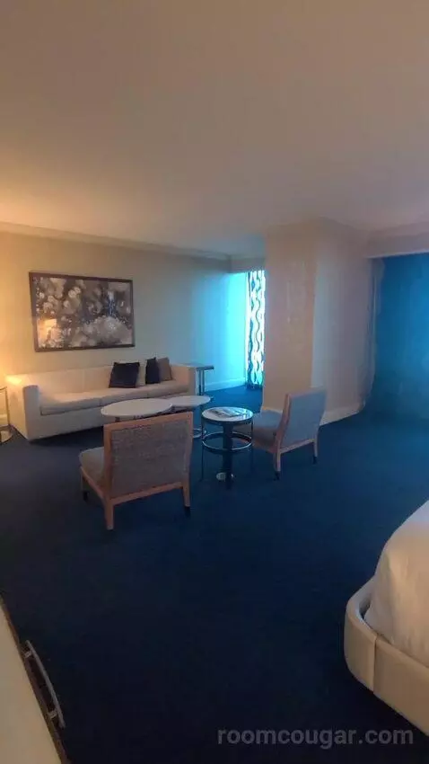 Elite King Suite (#18134) picture #24