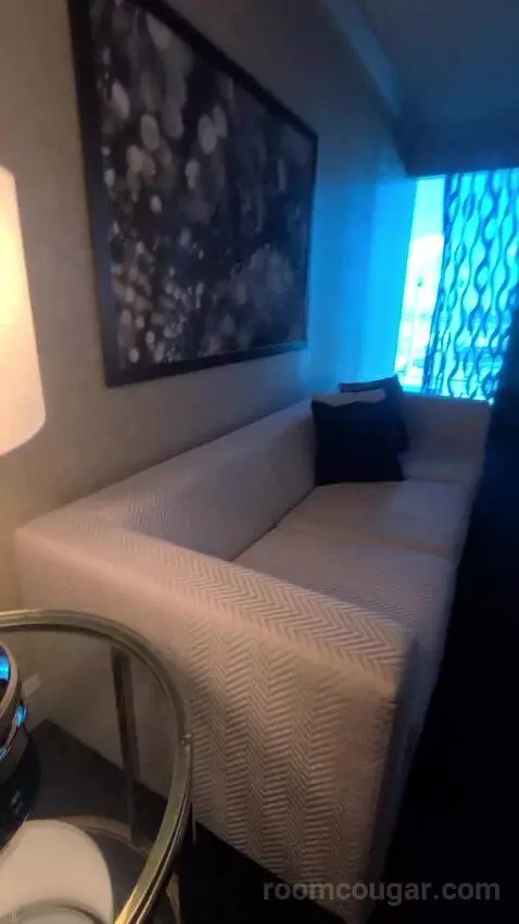 Elite King Suite (#18134) picture #8