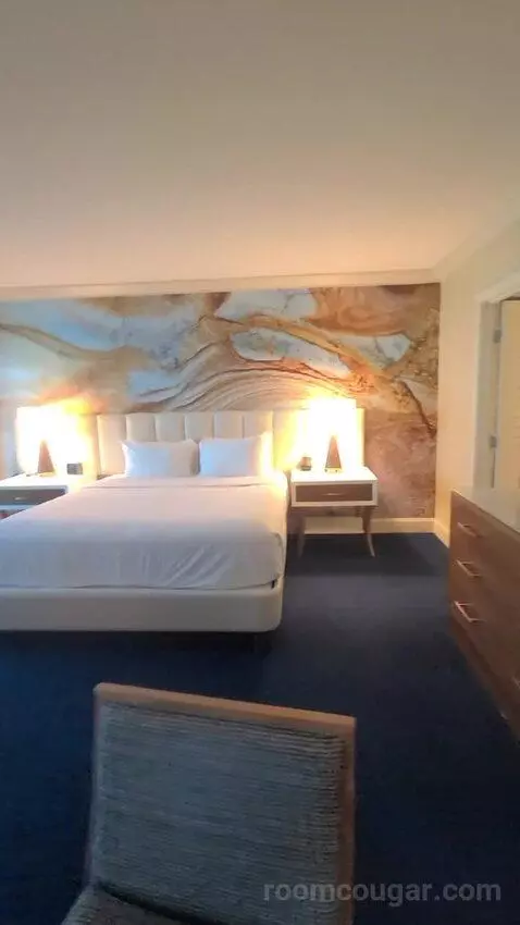 Elite King Suite (#18134) picture #9