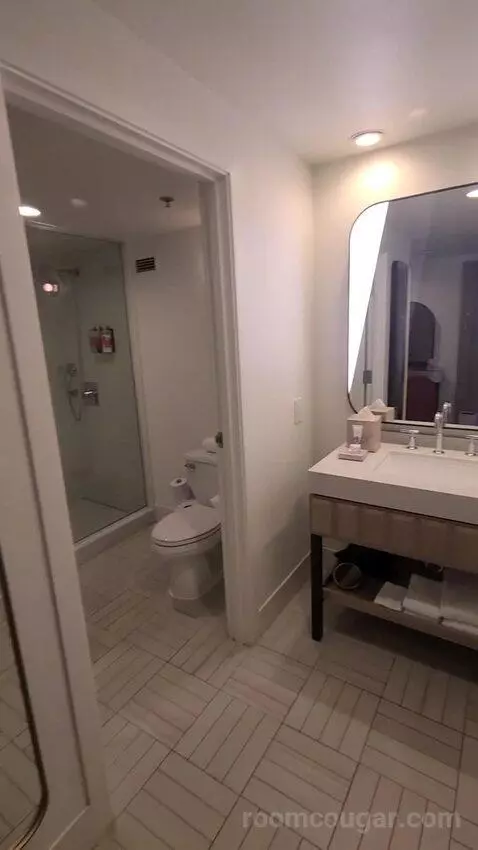 Chamber King (#20910) bathroom picture #1