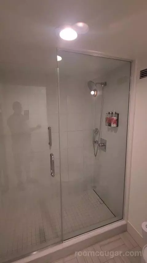 Chamber King (#20910) bathroom picture #6