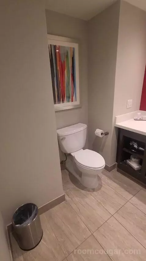 Resort Studio Suite, 1 King (734A) picture #19