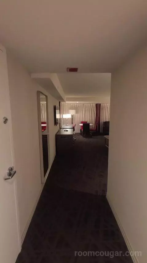 Resort Studio Suite, 1 King (734A) picture #3