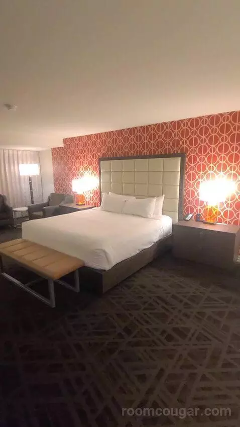 Resort Studio Suite, 1 King (734A) picture #4