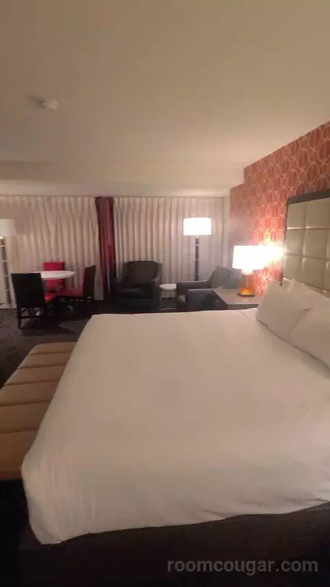 Resort Studio Suite, 1 King (734A) picture #6