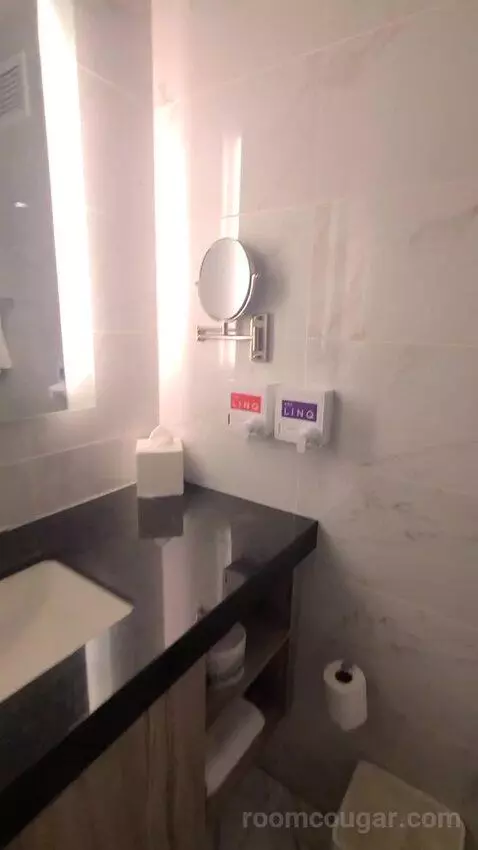 District 3, Deluxe, 1 King, City View (#20117) bathroom picture #6