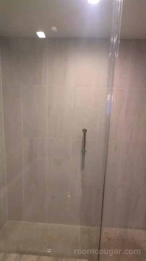 Ruby Chamber King (#10711) bathroom picture #8