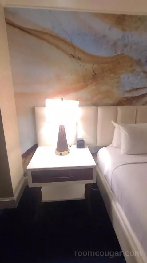 Resort King Room (#29307) picture #11