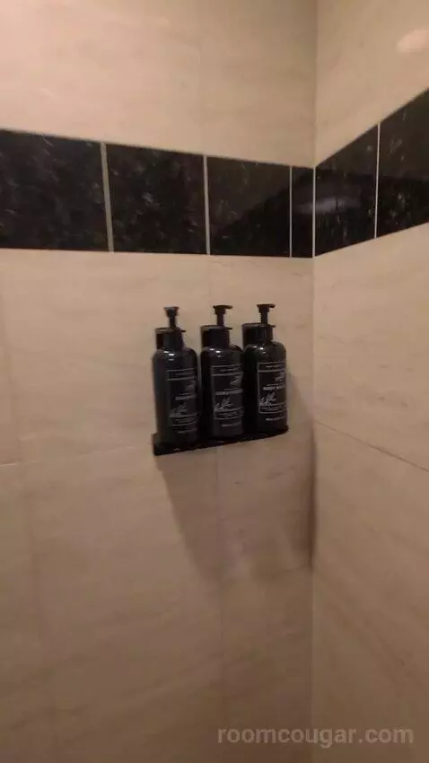 Resort King Room (#29307) picture #20