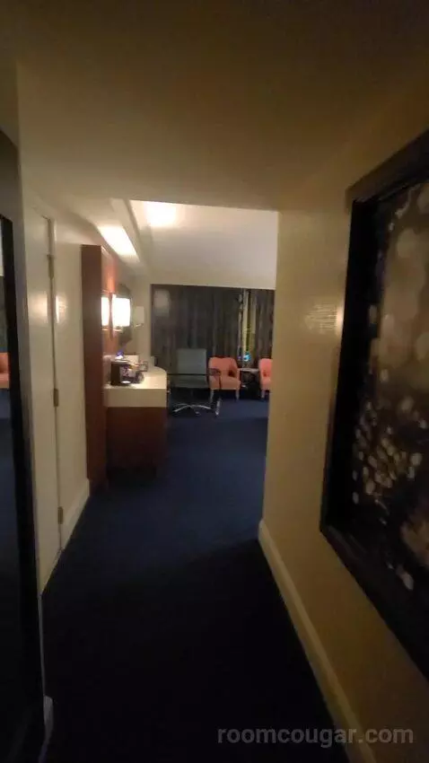 Resort King Room (#29307) picture #3