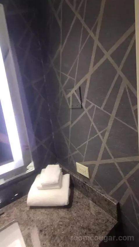 Resort King Room (#29307) picture #21