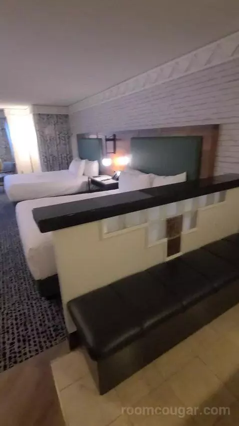 Players Suite (#455) picture #6