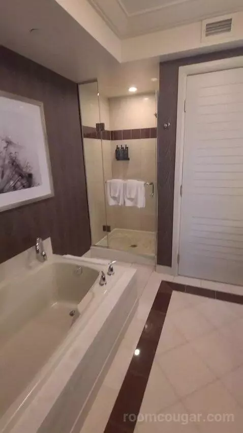 Resort Two Queen Strip View (#11217) bathroom picture #1