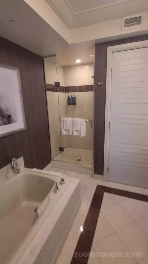 Resort Two Queen Strip View (#11217) bathroom picture #3