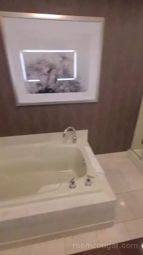 Resort Two Queen Strip View (#11217) bathroom picture #4